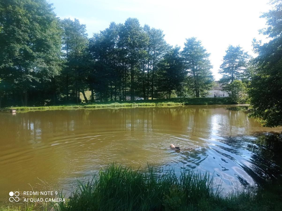 Apartmany U Becova Nad Teplou Bečov nad Teplou Extérieur photo
