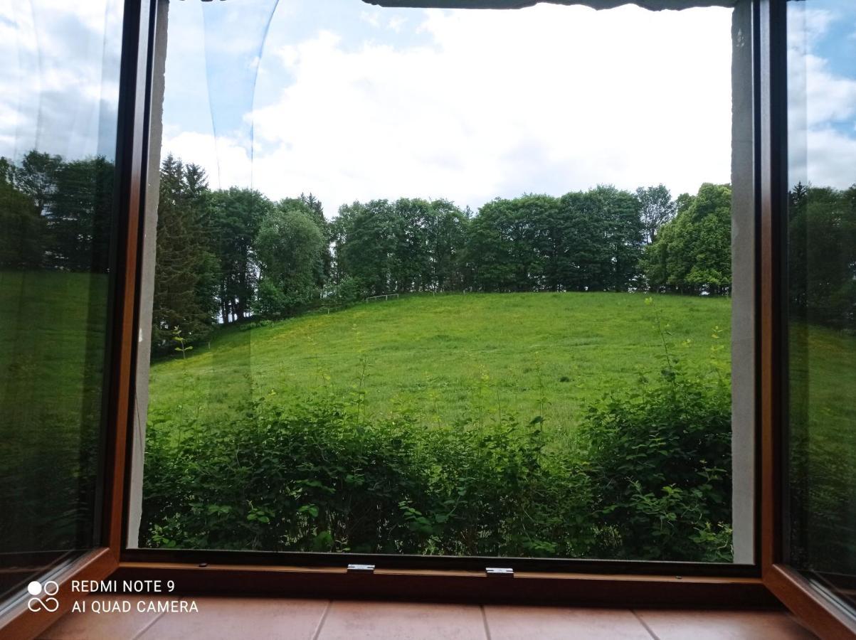 Apartmany U Becova Nad Teplou Bečov nad Teplou Extérieur photo