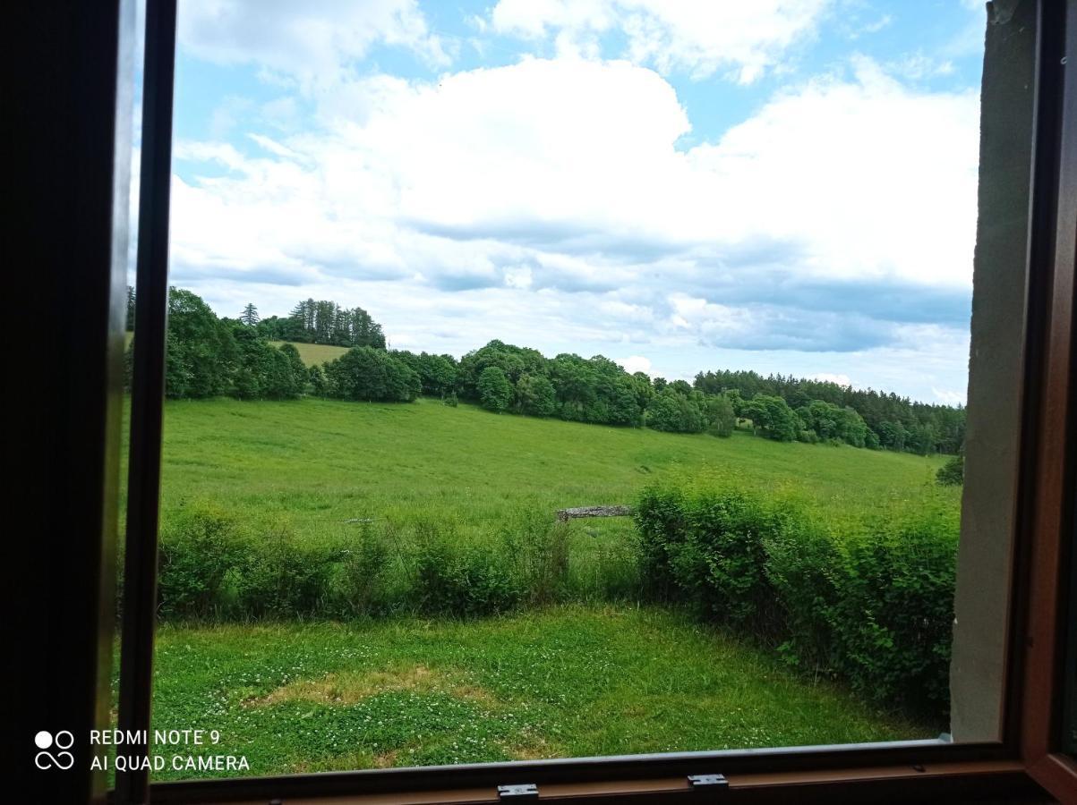 Apartmany U Becova Nad Teplou Bečov nad Teplou Extérieur photo